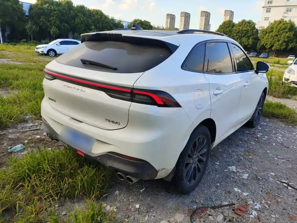 Dongfeng Fengxing T5 EVO 2021 — фото 7