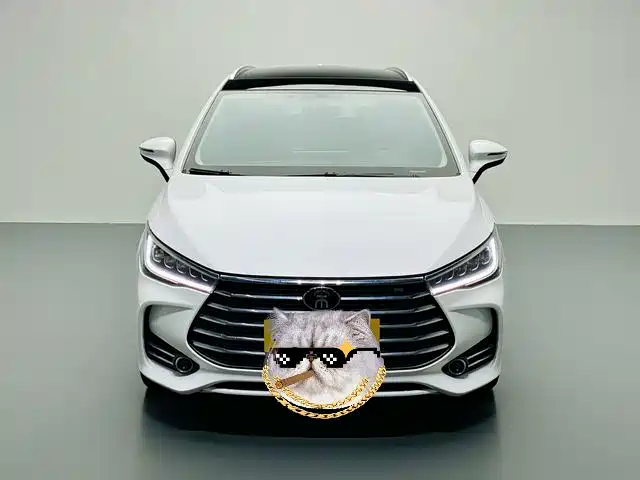 BYD Song MAX 2020 — фото 2