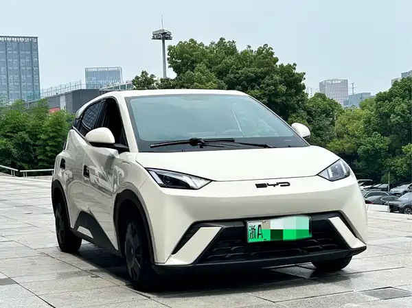 BYD Seagull 2024
