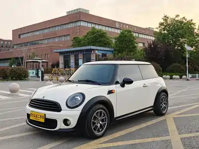 MINI MINI 2013