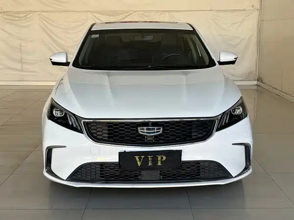 Geely Binrui 2021