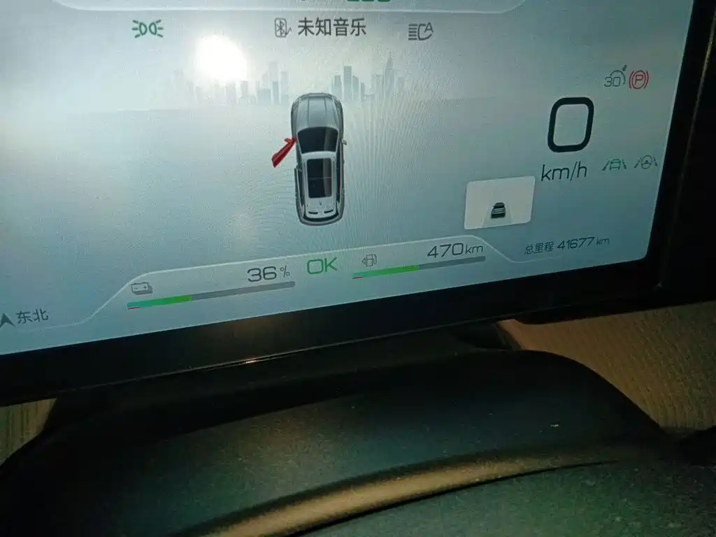 BYD Song Pro New Energy 2024 — фото 8