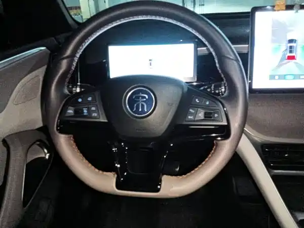 BYD Song Pro New Energy 2024