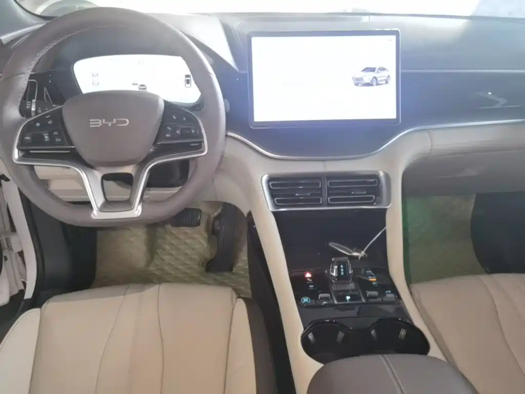 BYD PLUS New Energy 2025 — фото 10