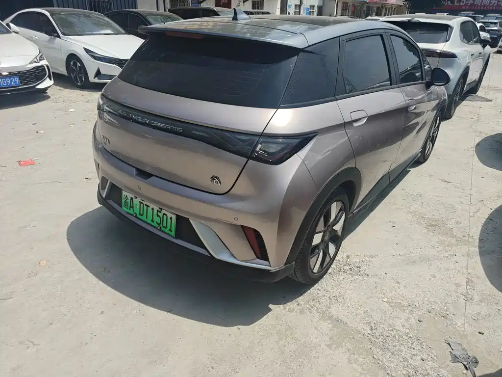 BYD Dolphin 2021