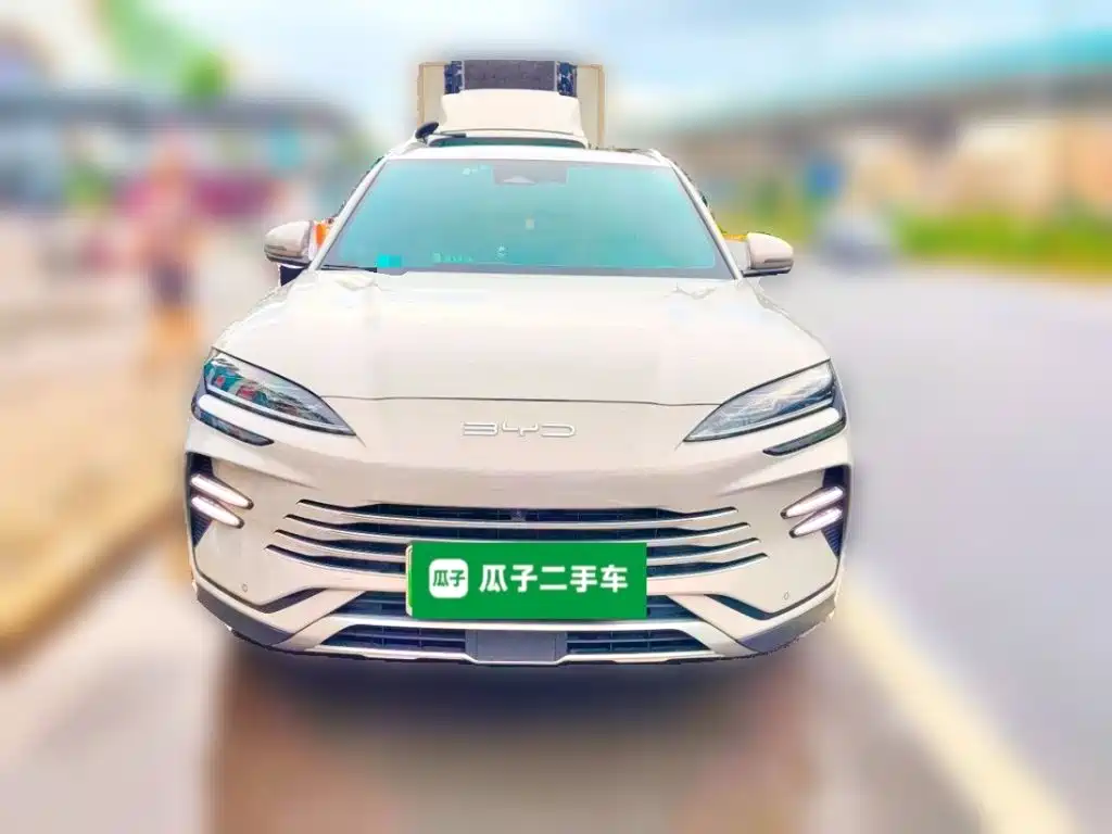 BYD Song PLUS New Energy 2024 — фото 24