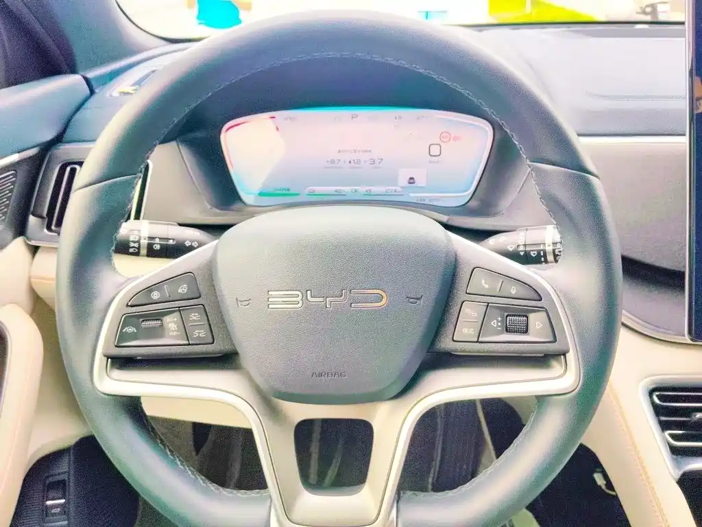 BYD Song PLUS New Energy 2024 — фото 3