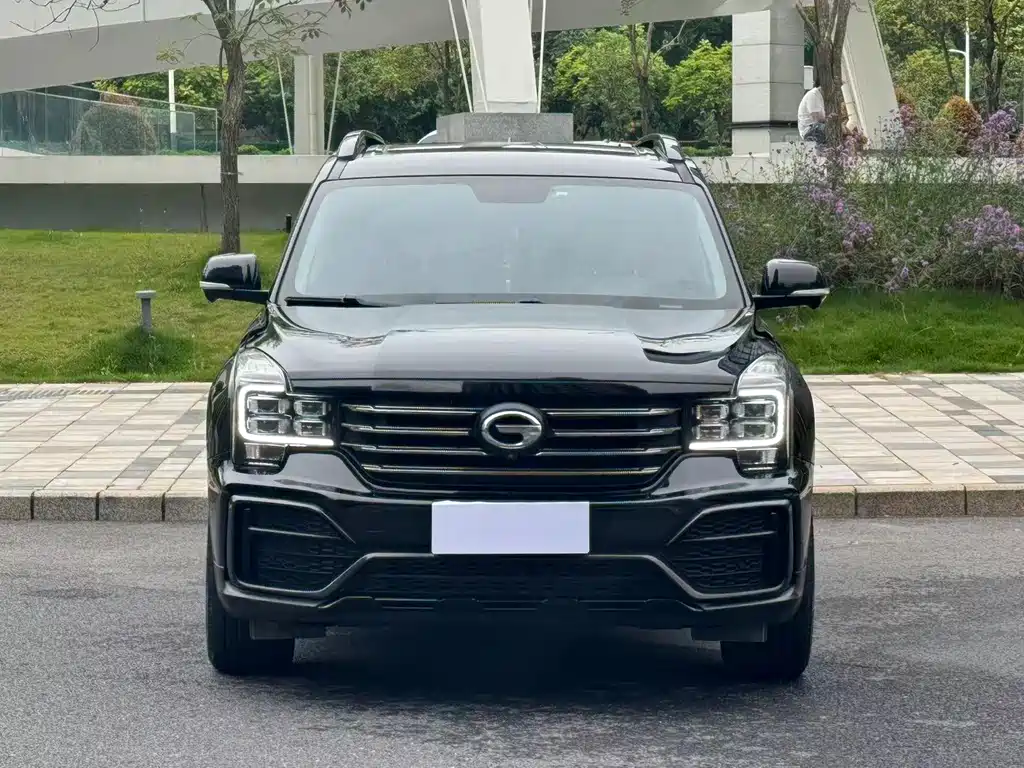 GAC Motor Trumpchi GS8 2021 — фото 13