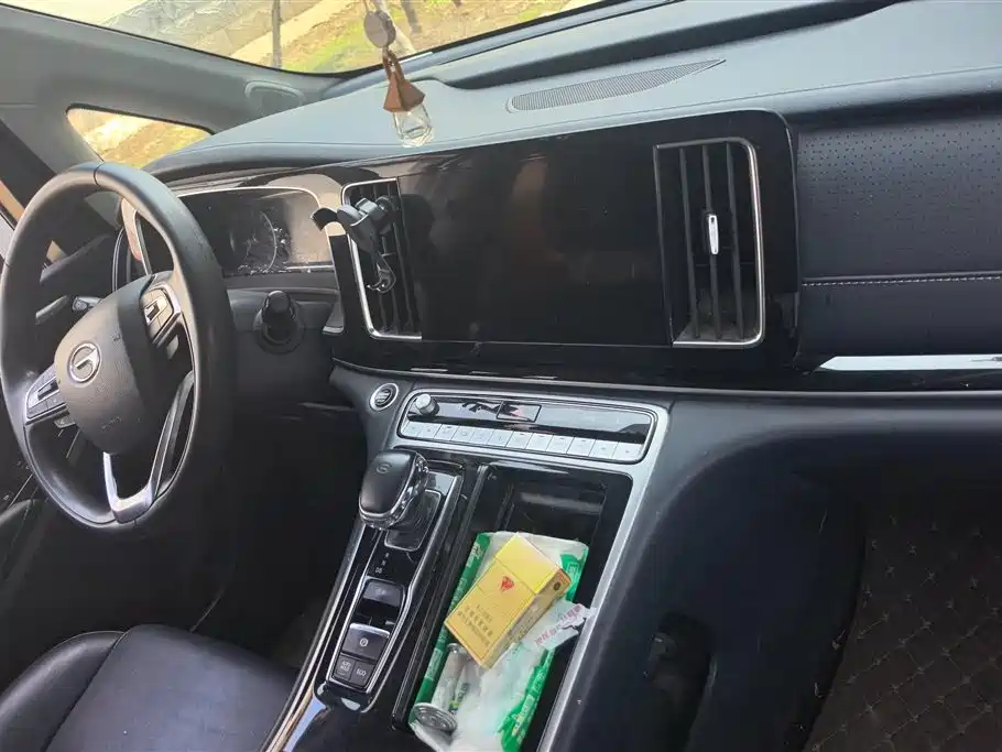 GAC Motor Trumpchi M8 2021 — фото 13