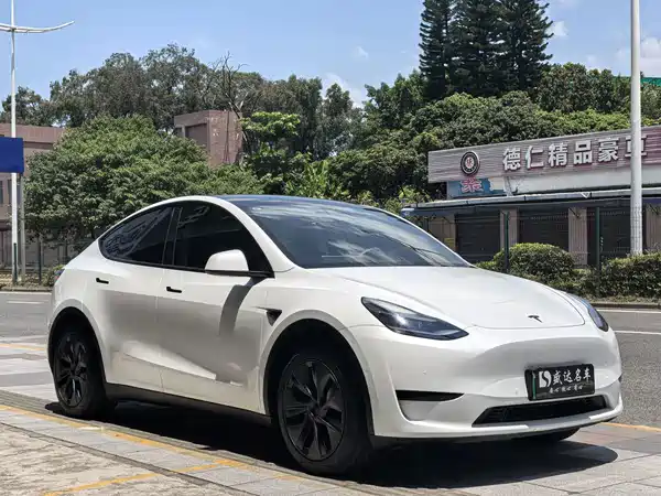 Tesla Model Y 2024