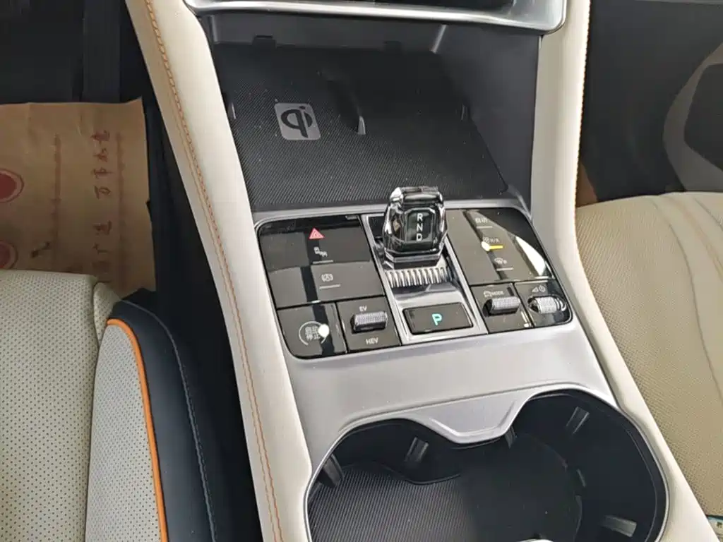 BYD Song PLUS New Energy 2024 — фото 14