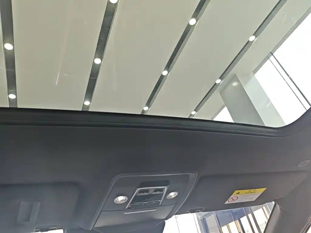 BYD Song PLUS New Energy 2024 — фото 18