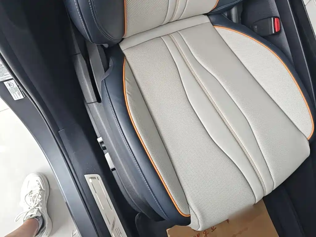 BYD Song PLUS New Energy 2024 — фото 25