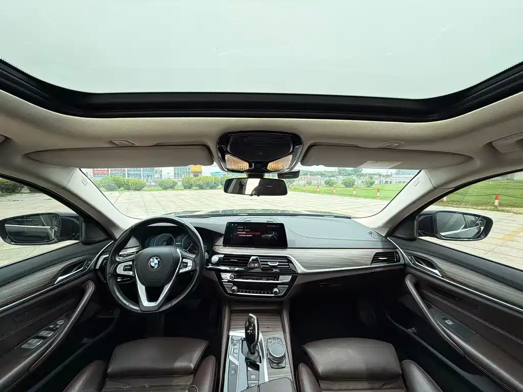 BMW 5 Series New Energy 2019