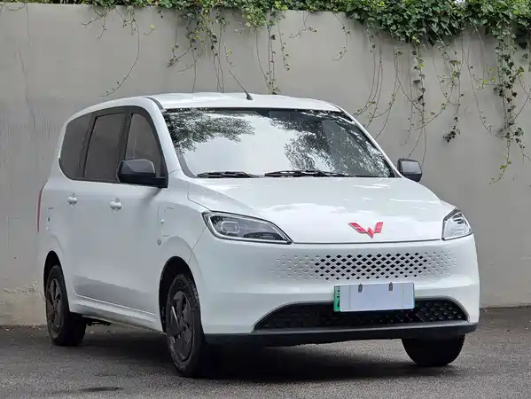 Wuling Hongguang New Energy 2025