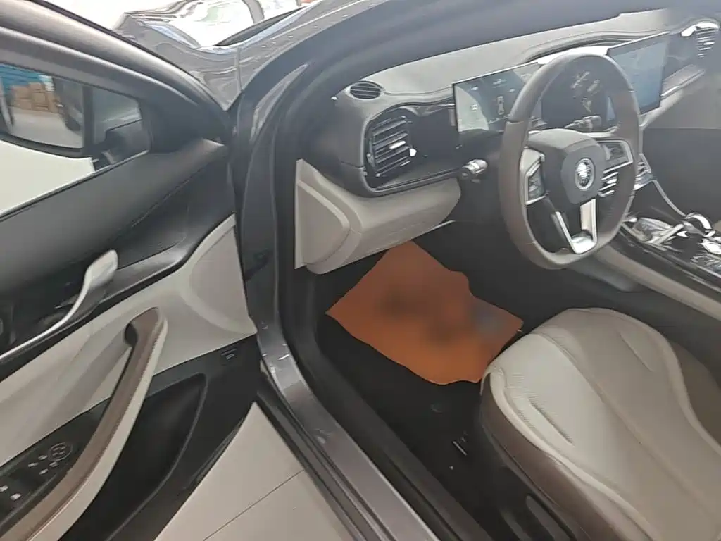 BYD Qin PLUS 2024 — фото 16