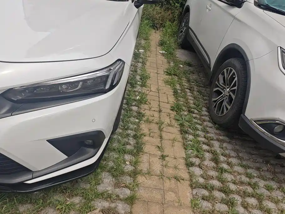 Honda Civic 2024