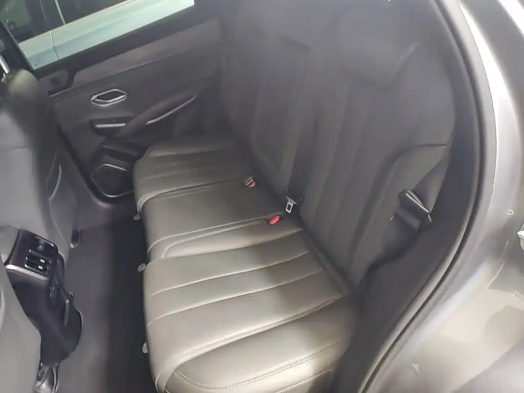BYD L DM-i 2025 — фото 17