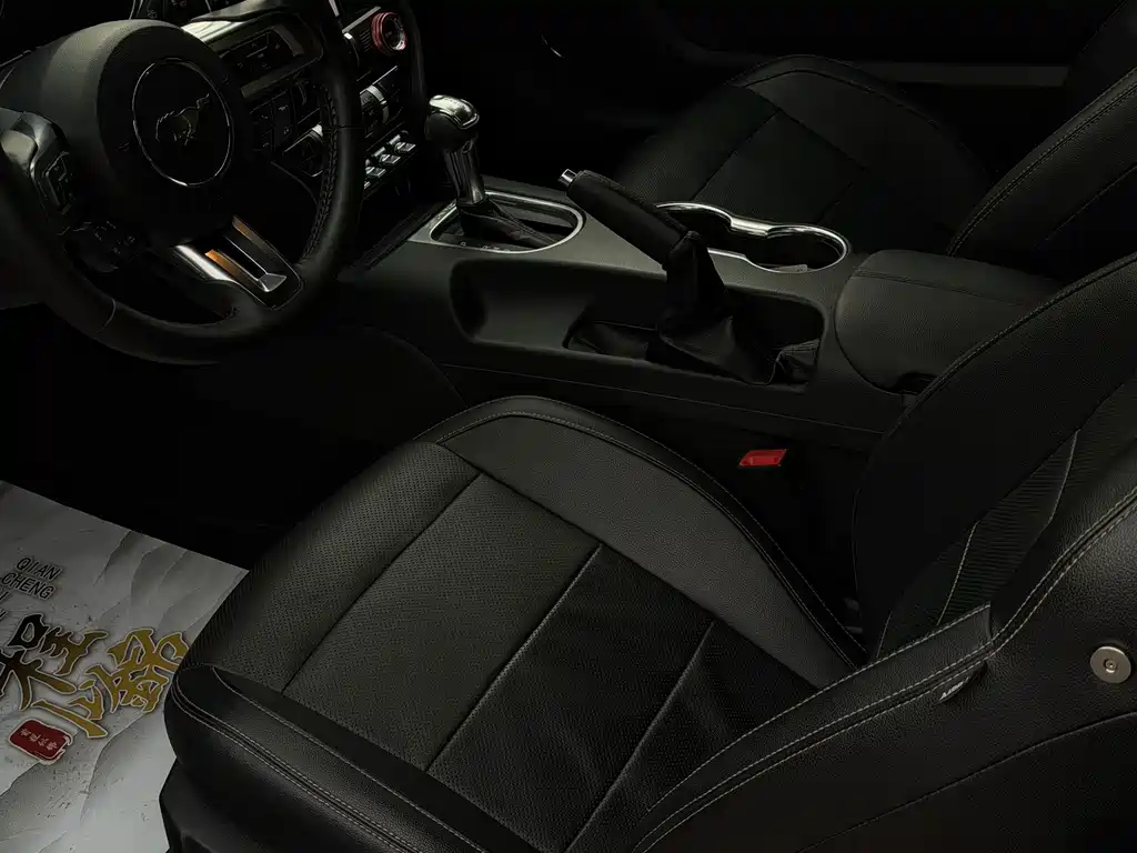 Ford Mustang 2019 — фото 16