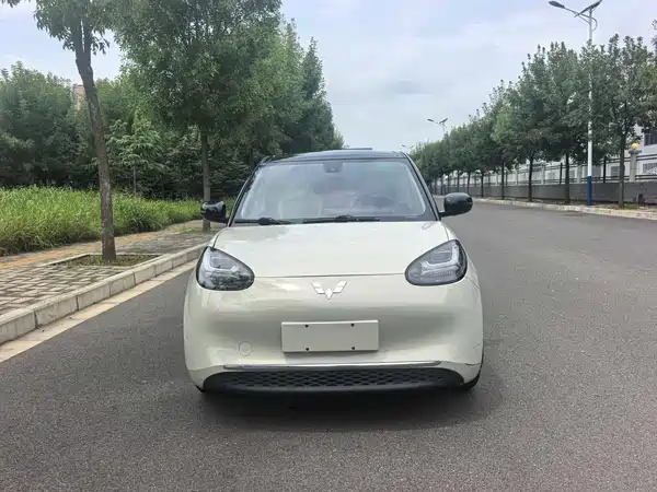 Wuling Bingo 2023