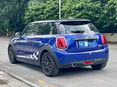 MINI MINI 2019