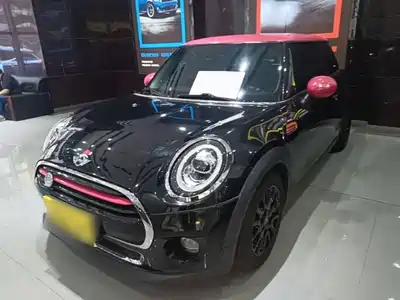 MINI MINI 2014
