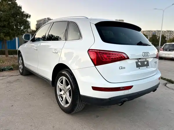 Audi Q5 2010