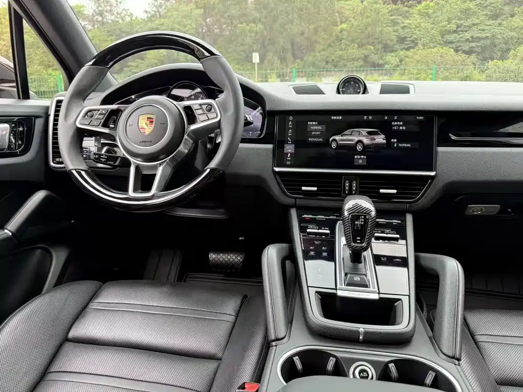 Porsche Cayenne 2019 — фото 9