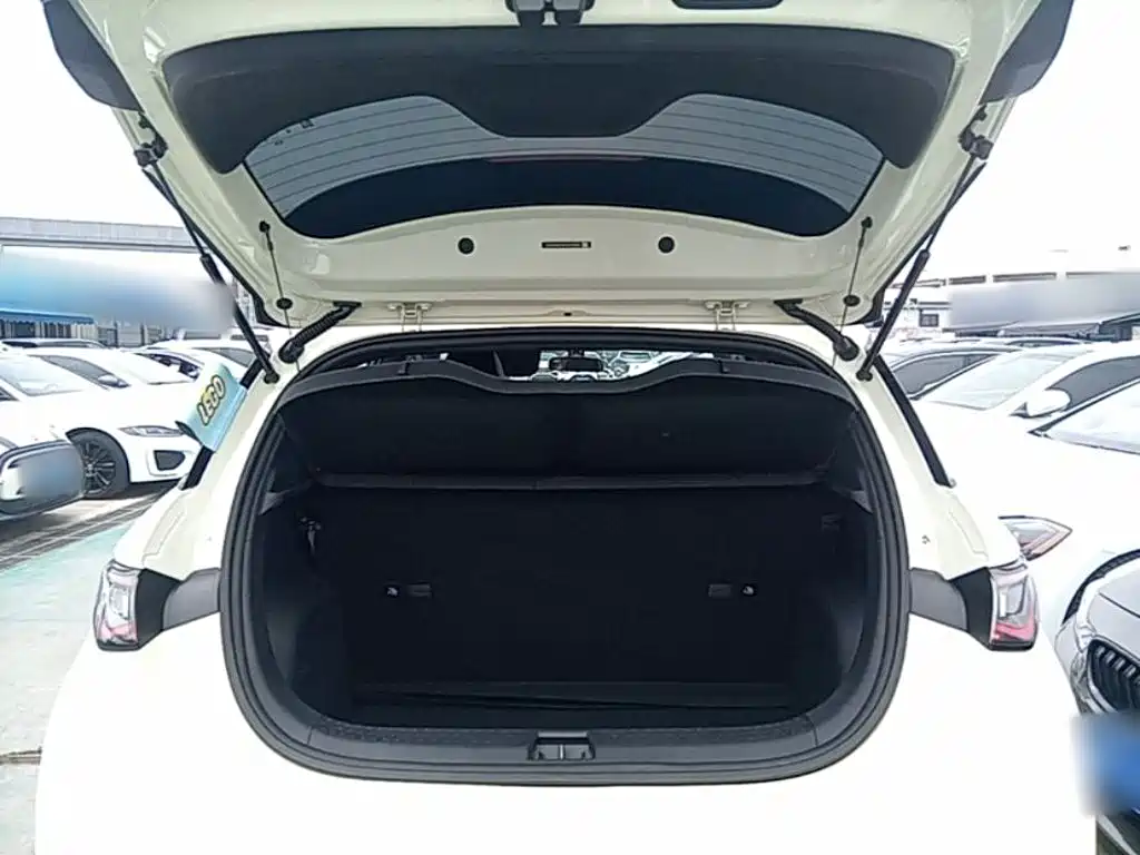 BYD Dolphin 2023 — фото 19