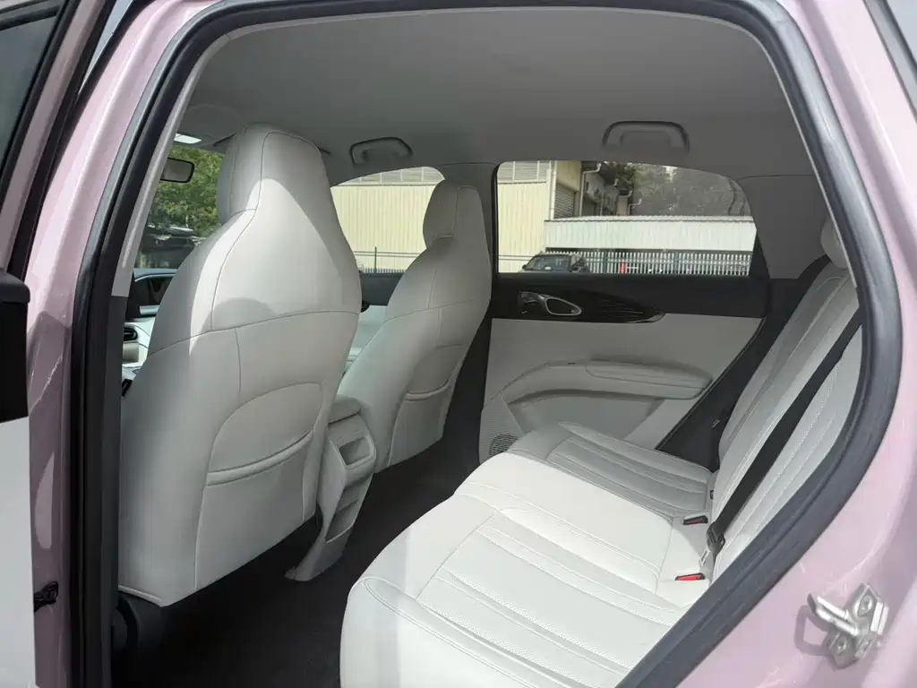 Geely Galaxy Starwish 2025 — фото 9