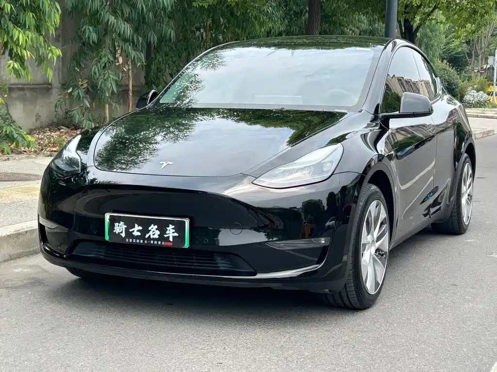 Tesla Model Y 2023 — фото 1