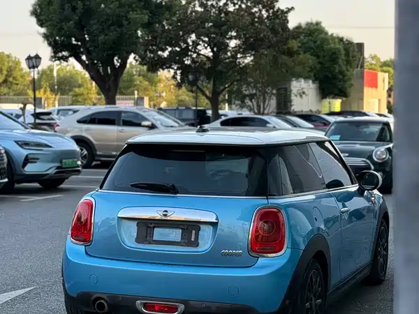 MINI MINI 2014