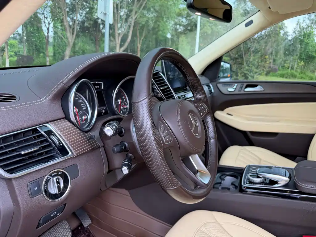 Mercedes-Benz GLS 2019 — фото 13