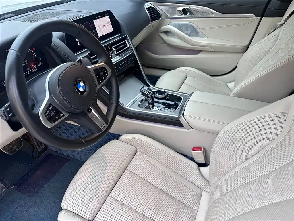 BMW 8 Series 2020 — фото 8