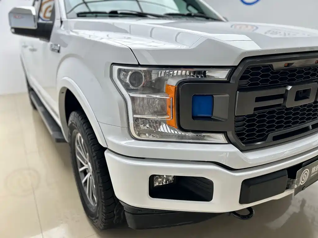 Ford F-150 Raptor 2019 — фото 20