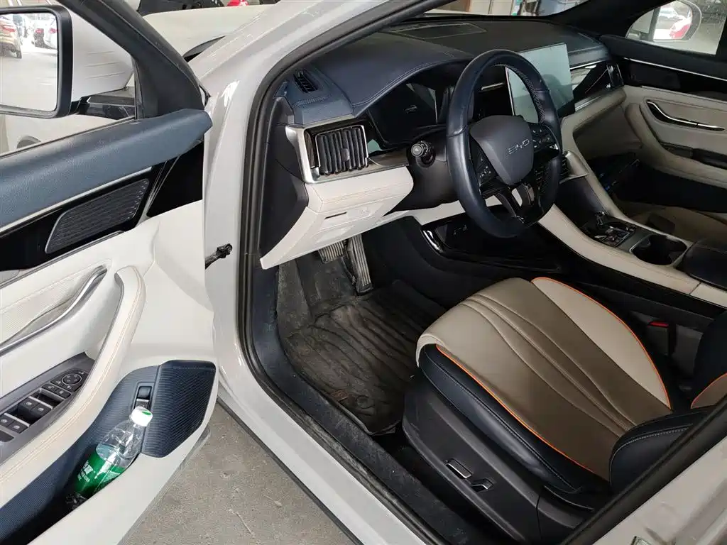 BYD PLUS New Energy 2024 — фото 13
