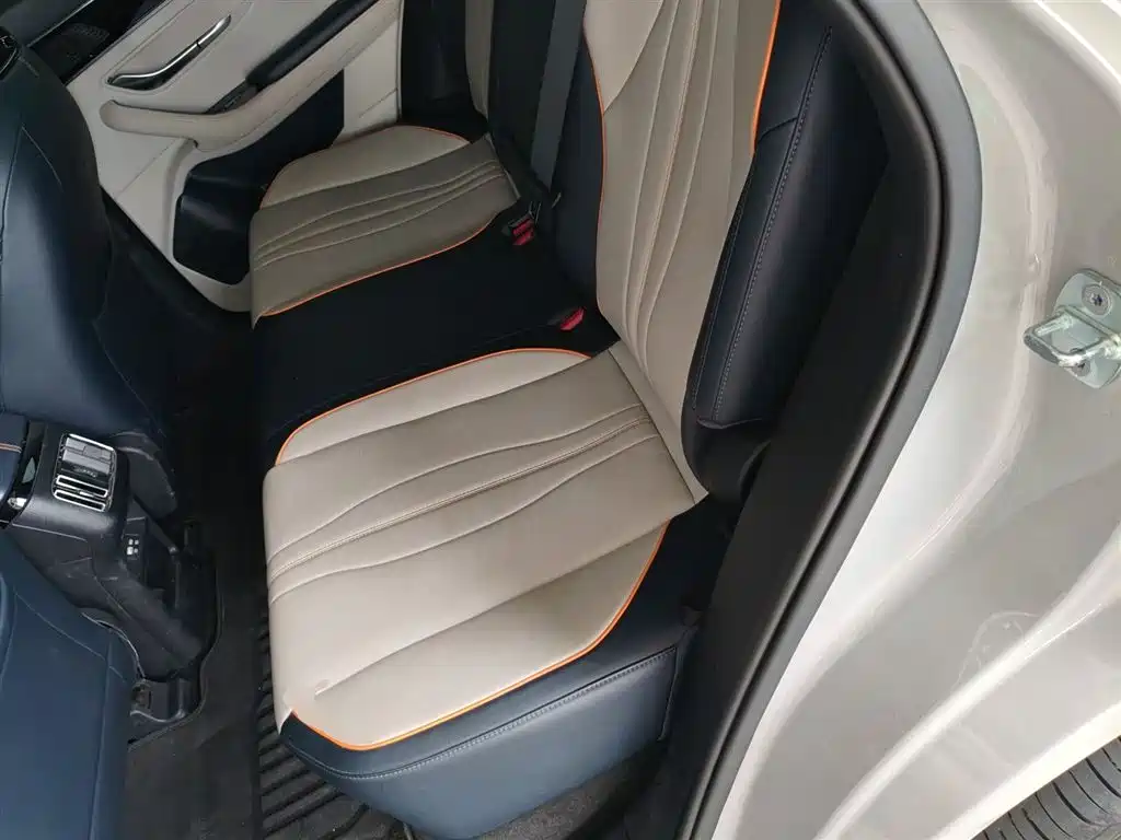 BYD PLUS New Energy 2024 — фото 14