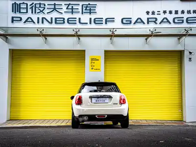 MINI MINI 2016