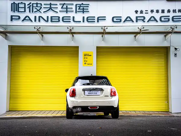 MINI MINI 2016