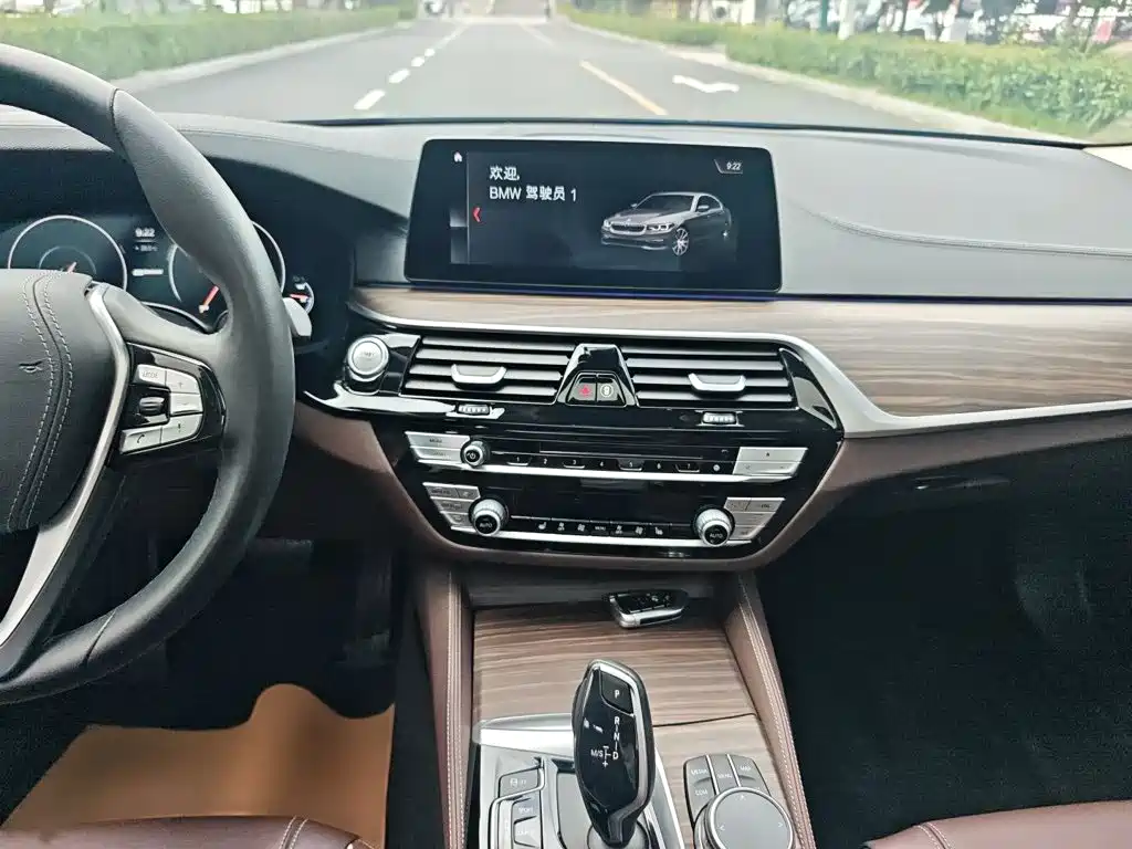 BMW 5 Series New Energy 2019 — фото 11