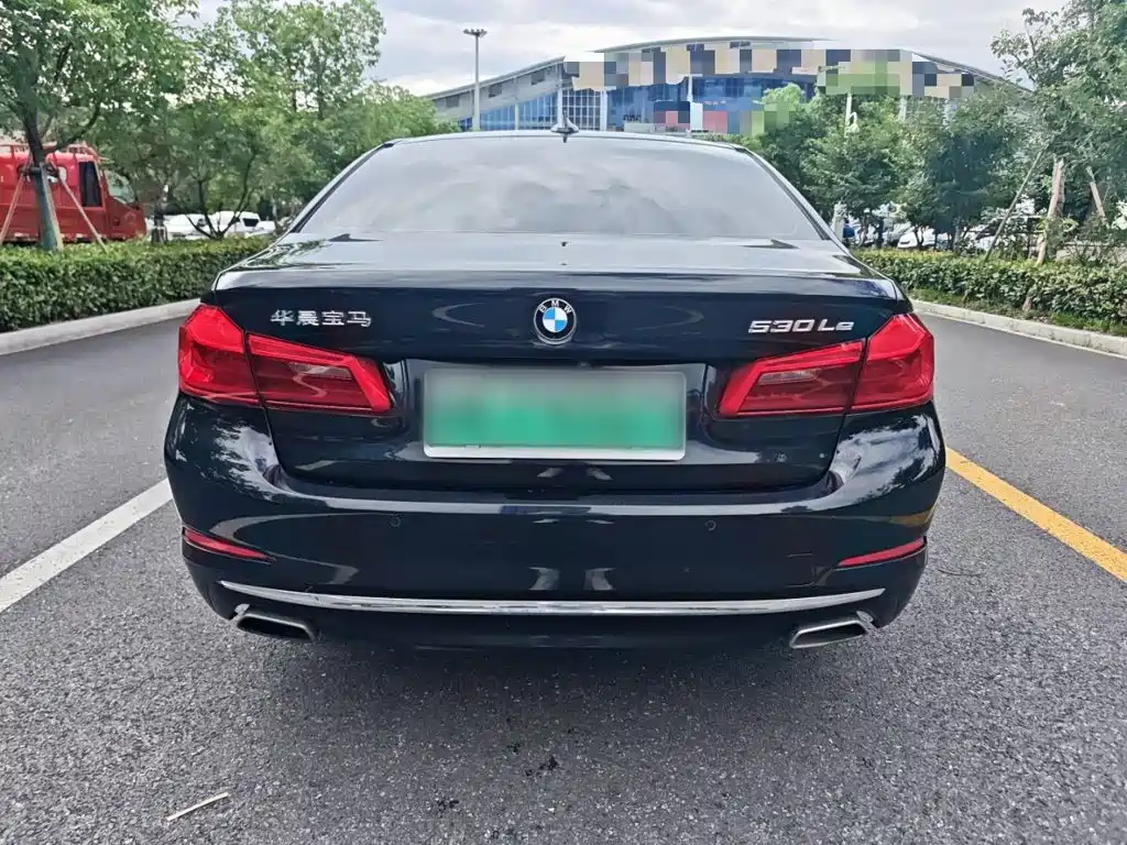 BMW 5 Series New Energy 2019