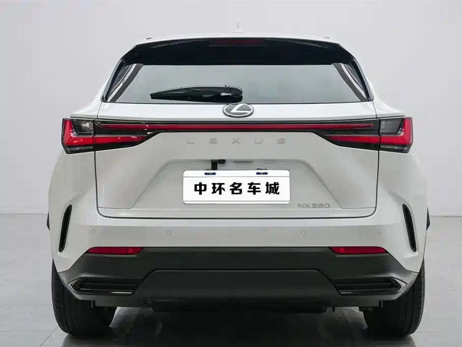 Lexus NX 2024 — фото 16