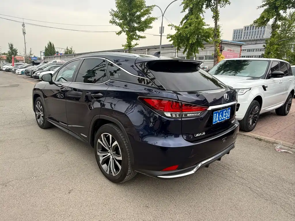 Lexus RX 2020 — фото 13