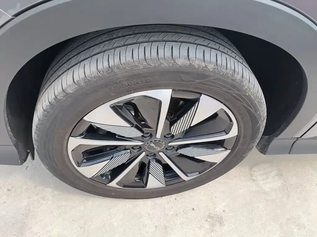 BYD PLUS New Energy 2025 — фото 23