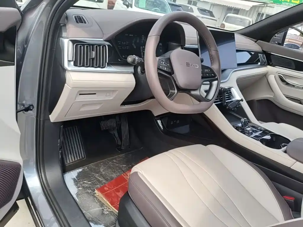 BYD PLUS New Energy 2025 — фото 10