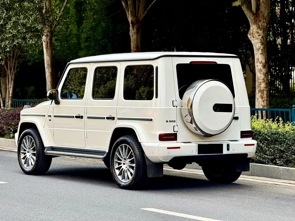 Mercedes-Benz G-Class 2021 — фото 14