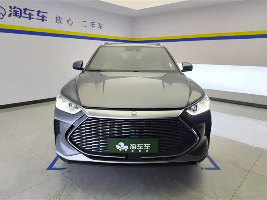 BYD PLUS New Energy 2022 — фото 2