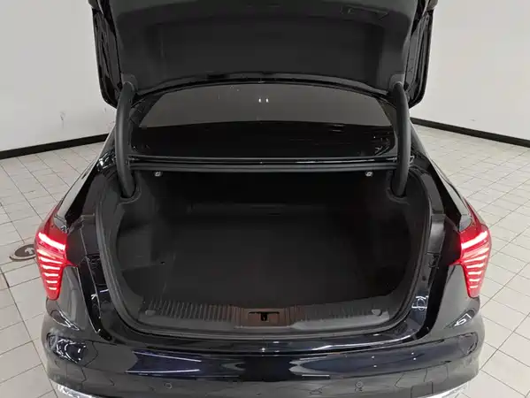Hongqi H5 2024