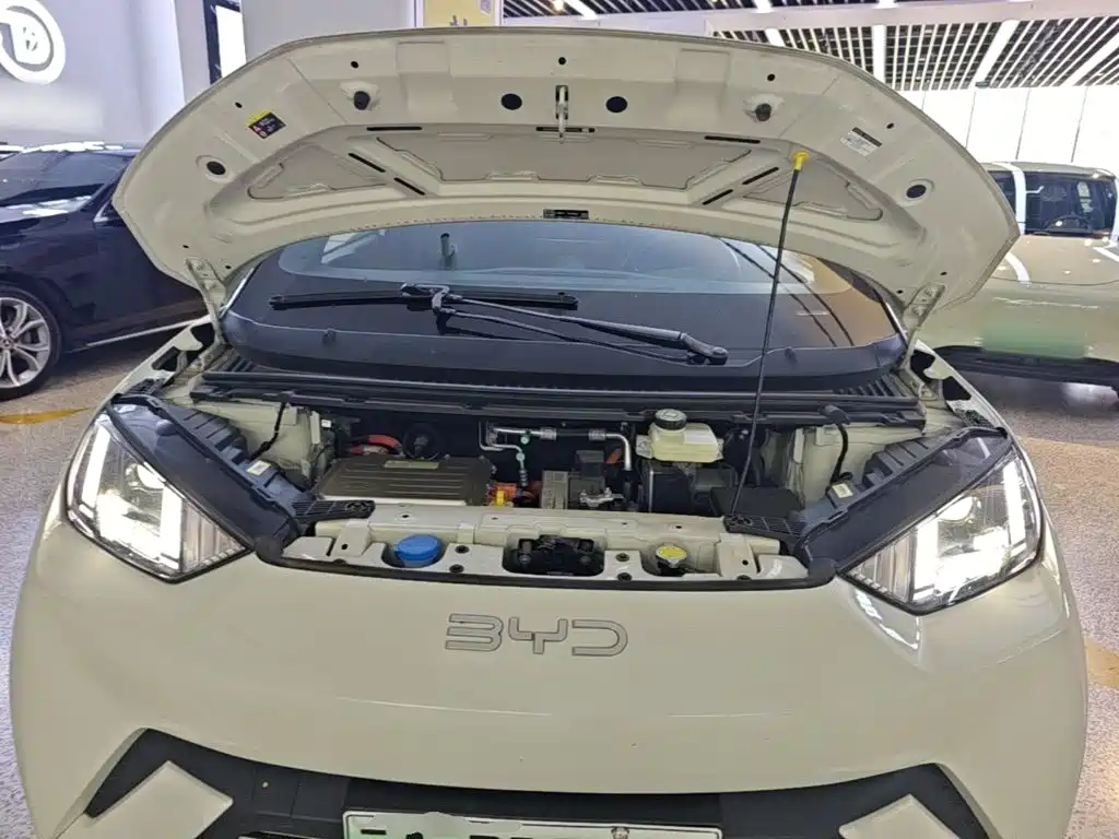 BYD Seagull 2023 — фото 20