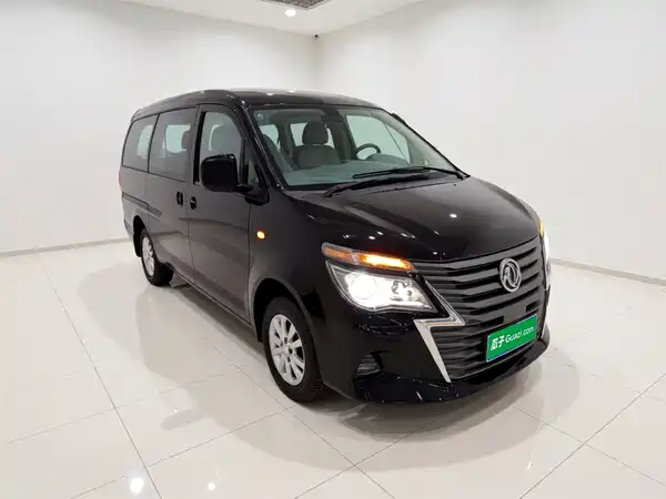 Dongfeng Lingzhi 2020